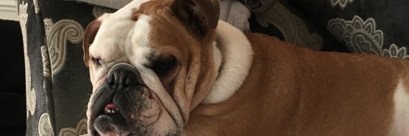 macybenningtonn's profile banner image