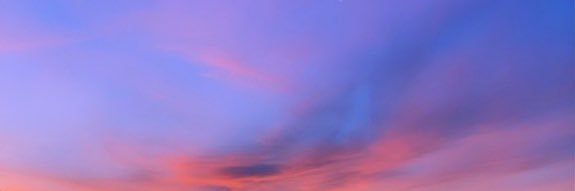 Florencia Rodriguez banner