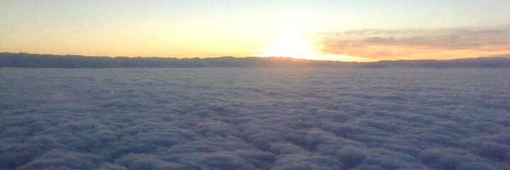 ariel_sja's profile banner image