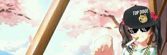 ruz1an's profile banner image