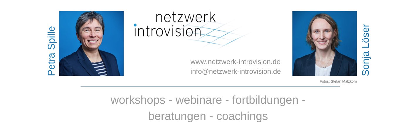 NetzIntrovision's profile banner image