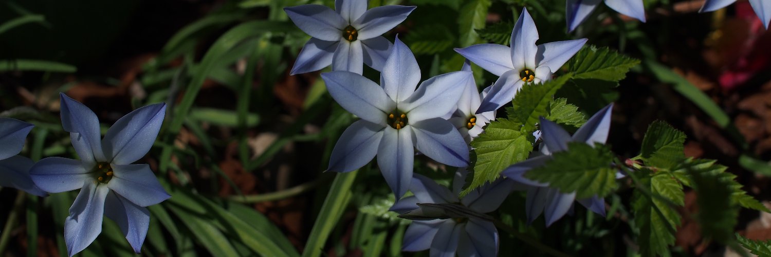 ナカヤマコウジ banner