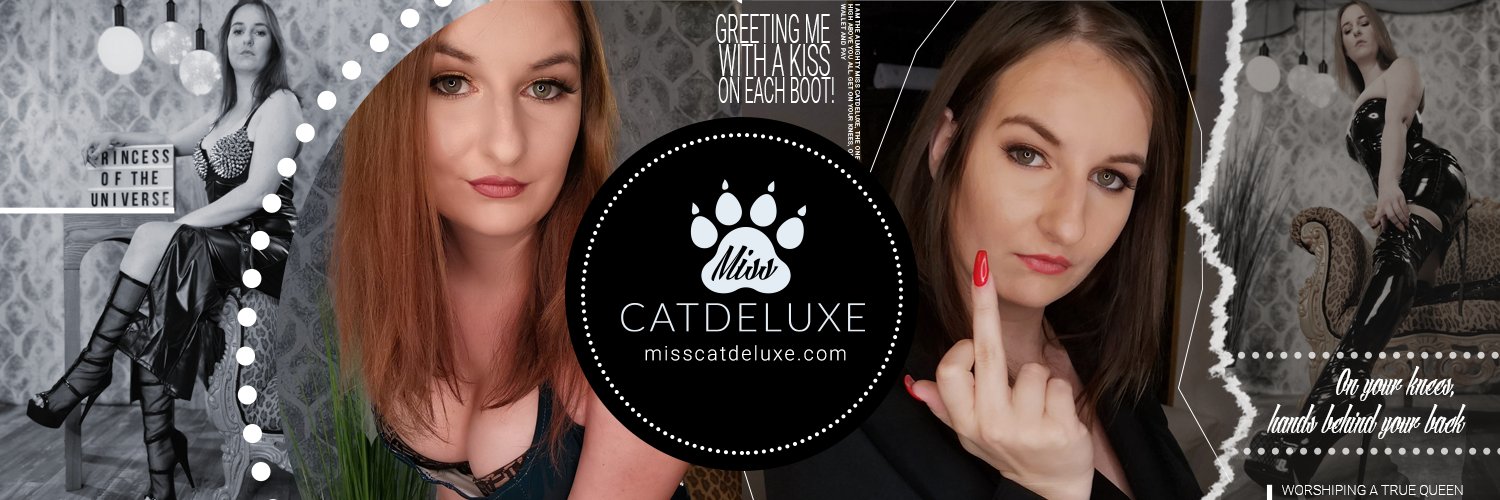 MissCatdeluxe's profile banner image