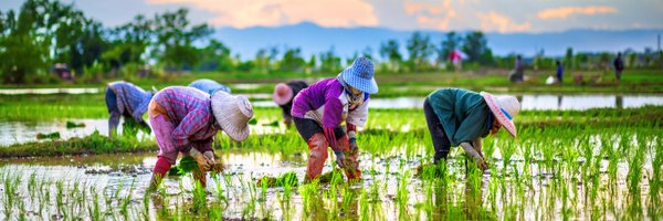 amfori_intl Profile Banner