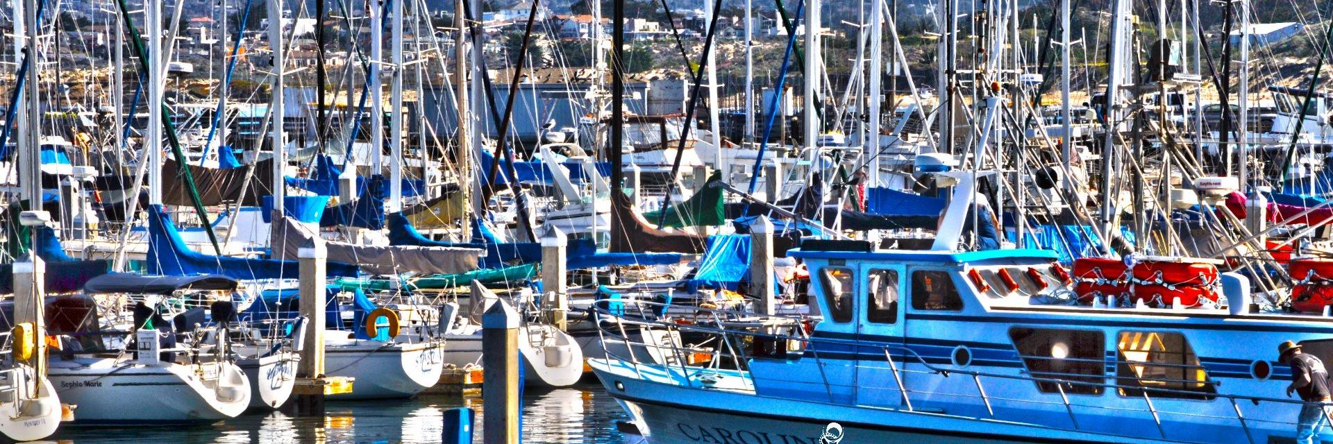 The Maritime Network banner