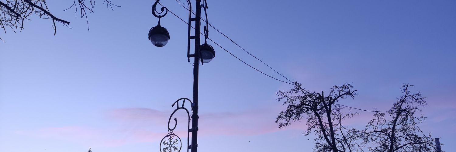 Александр Шкорупинский banner