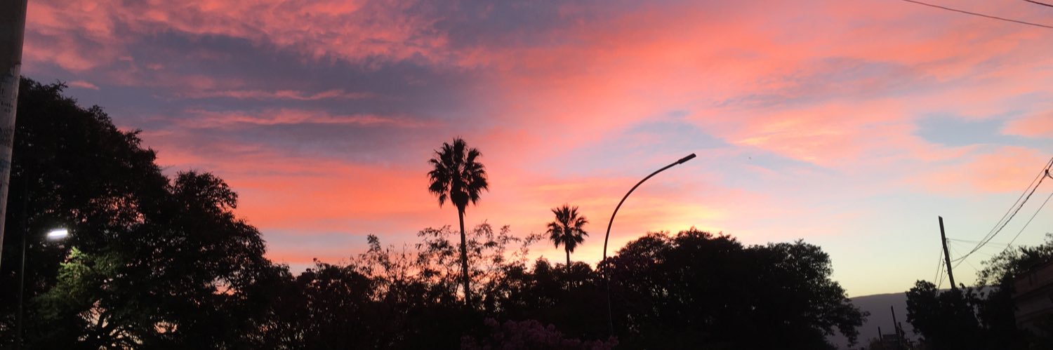 Orellanarocio1's profile banner image