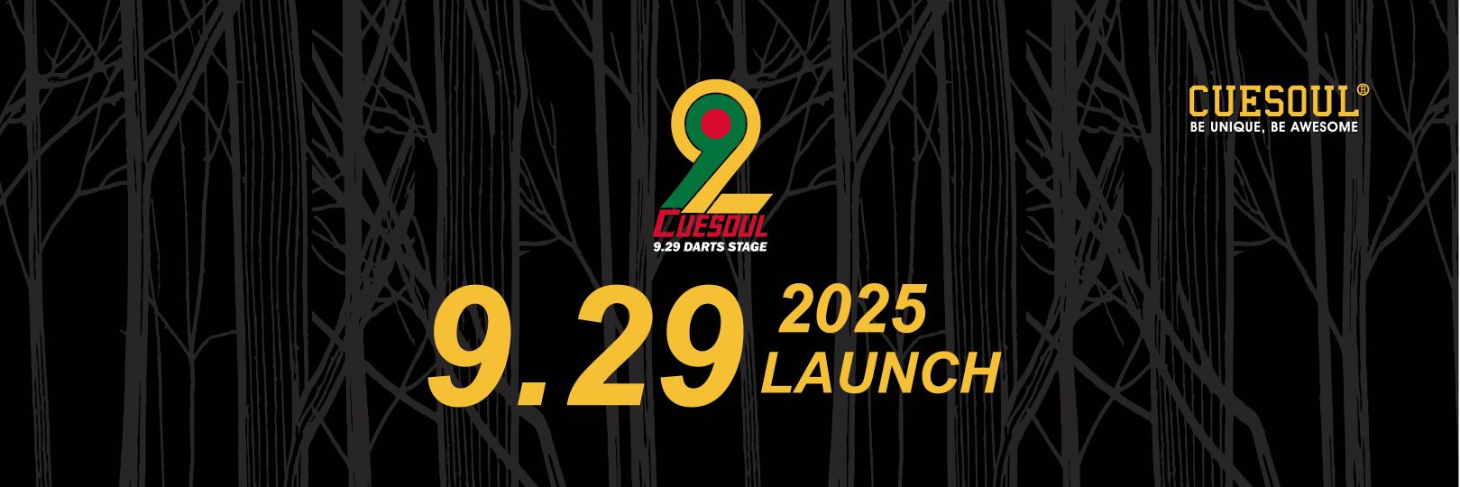 CUESOUL banner