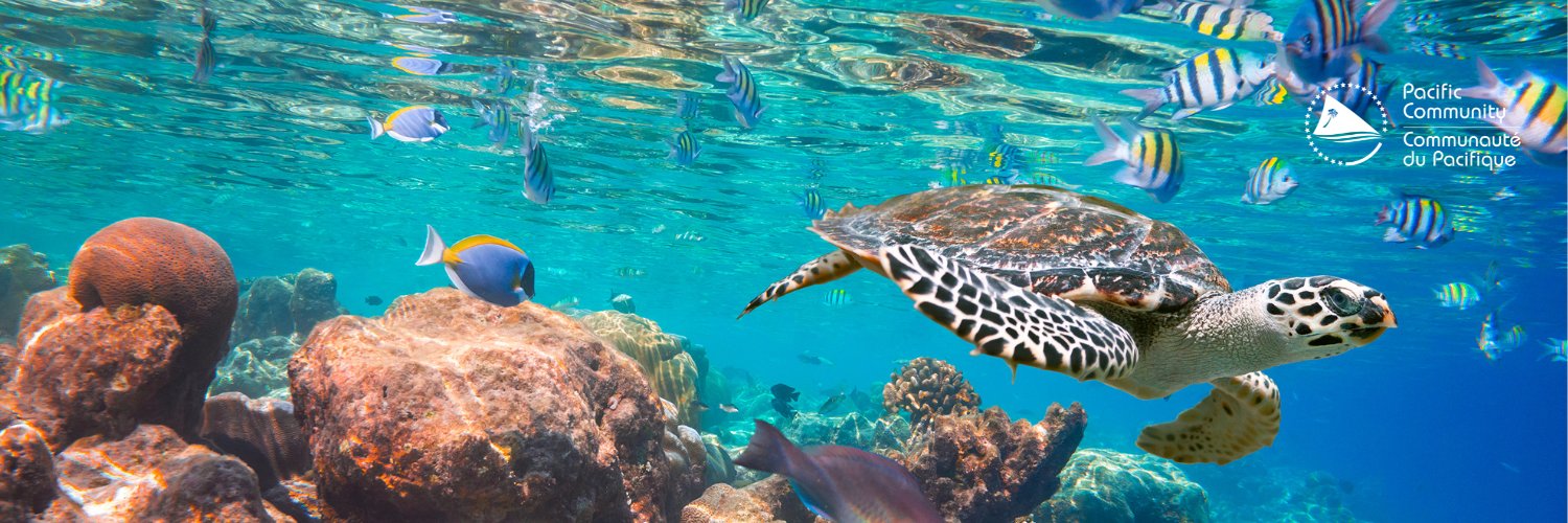 Pacific Community banner