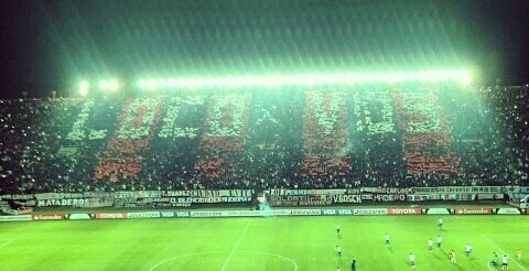Georgi Bianchini banner