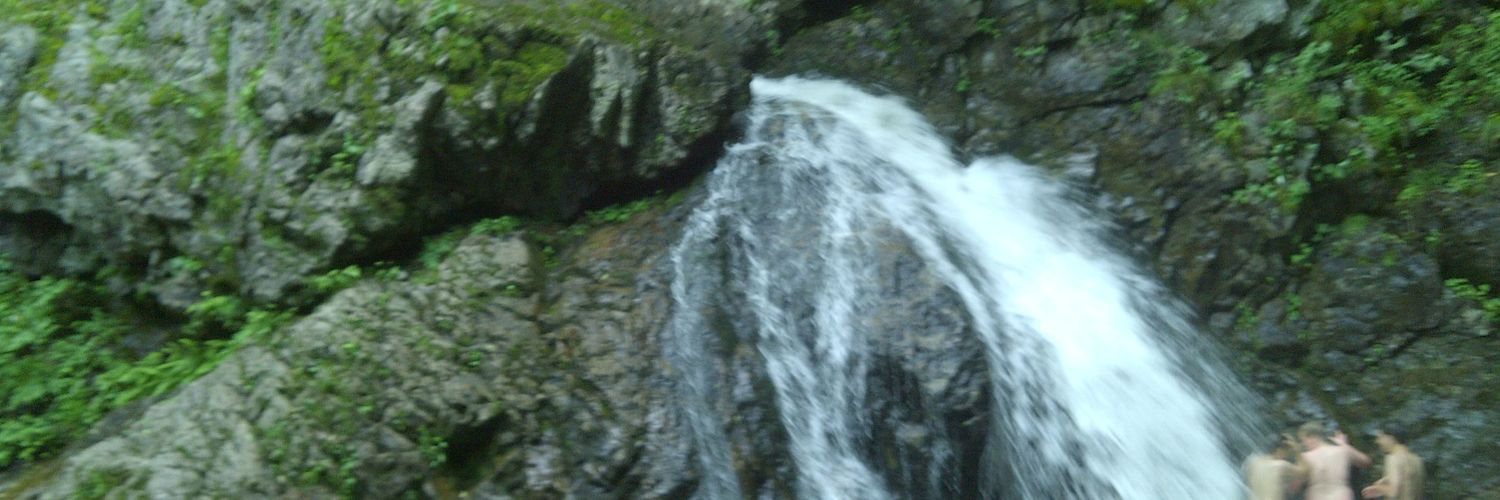 RyanSabouri's profile banner image
