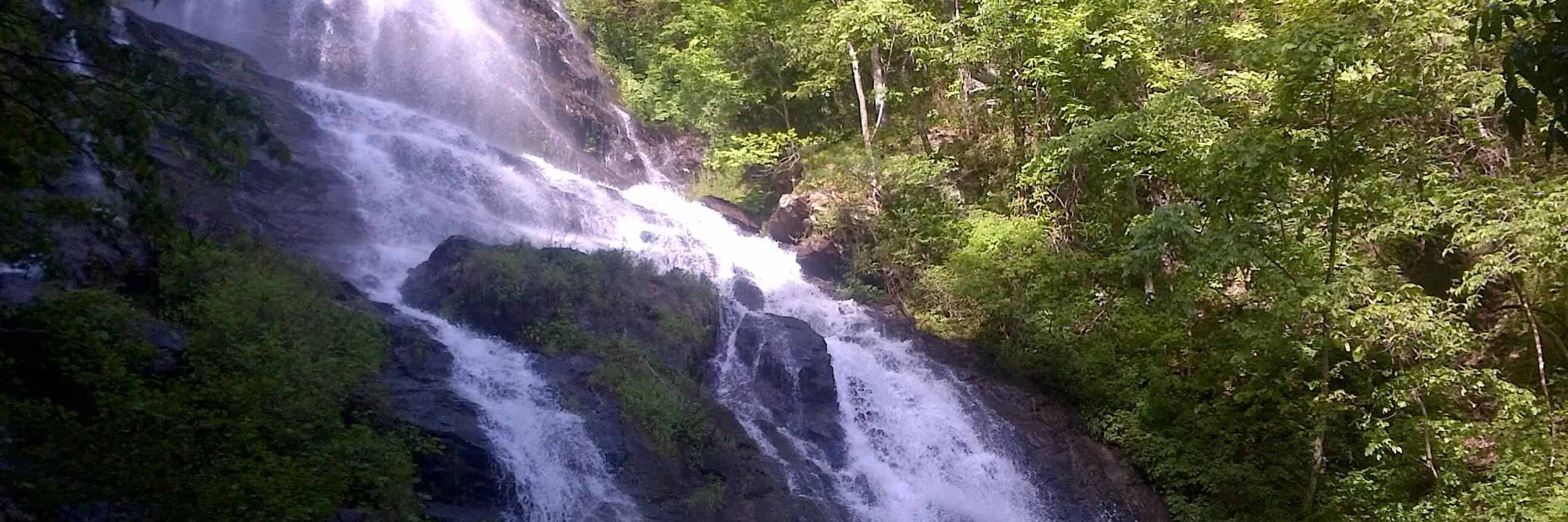 Isabelle Felix banner