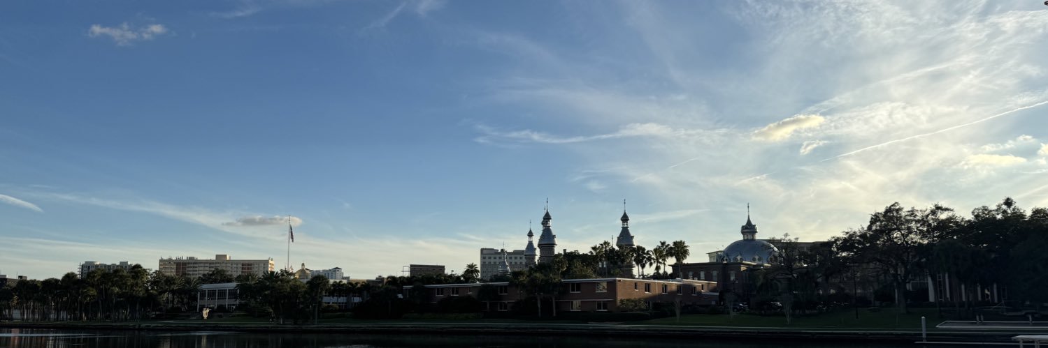 Mary Beth Feldman banner