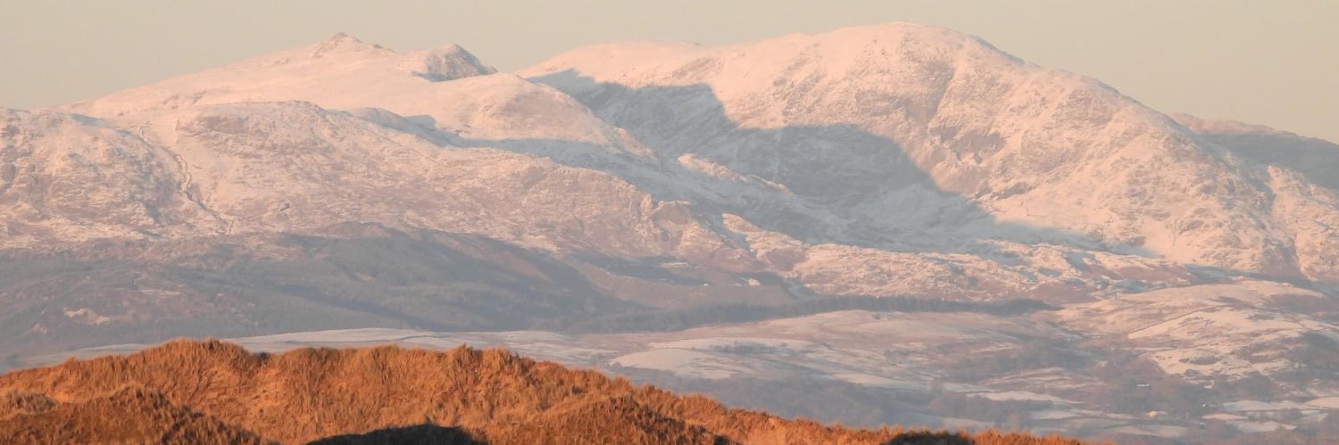 scott mckinnell  banner