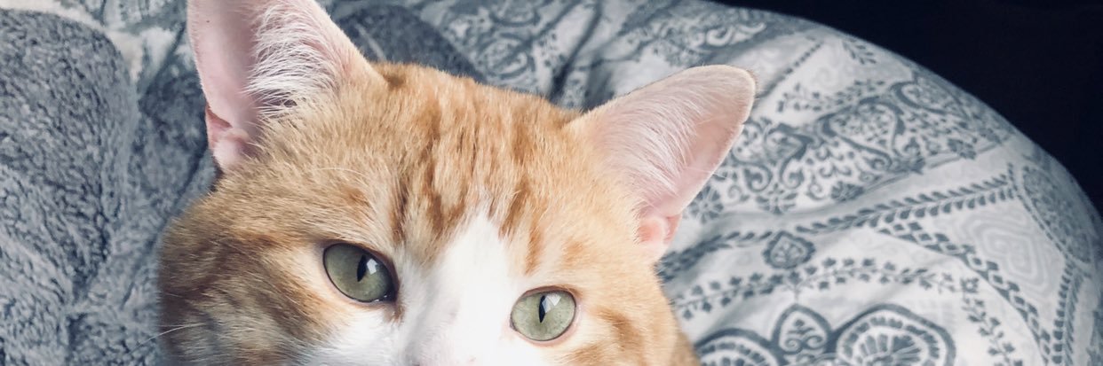 emilymurphy8's profile banner image