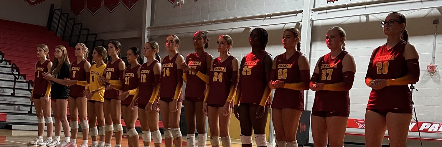 Scecina Volleyball banner