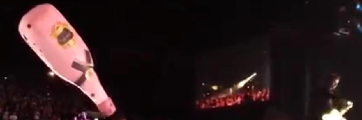 shanin molinaro banner