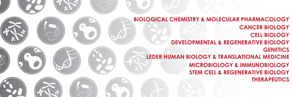 BBS_Harvard Profile Banner