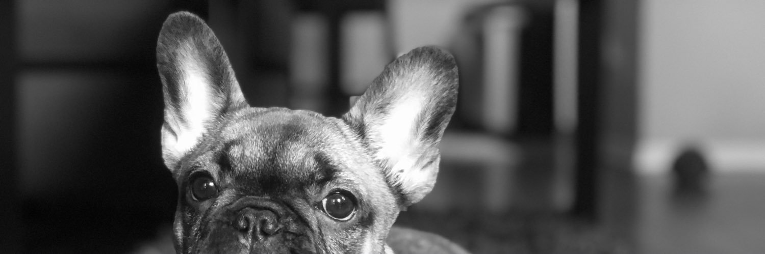 justbeingbeachy's profile banner image