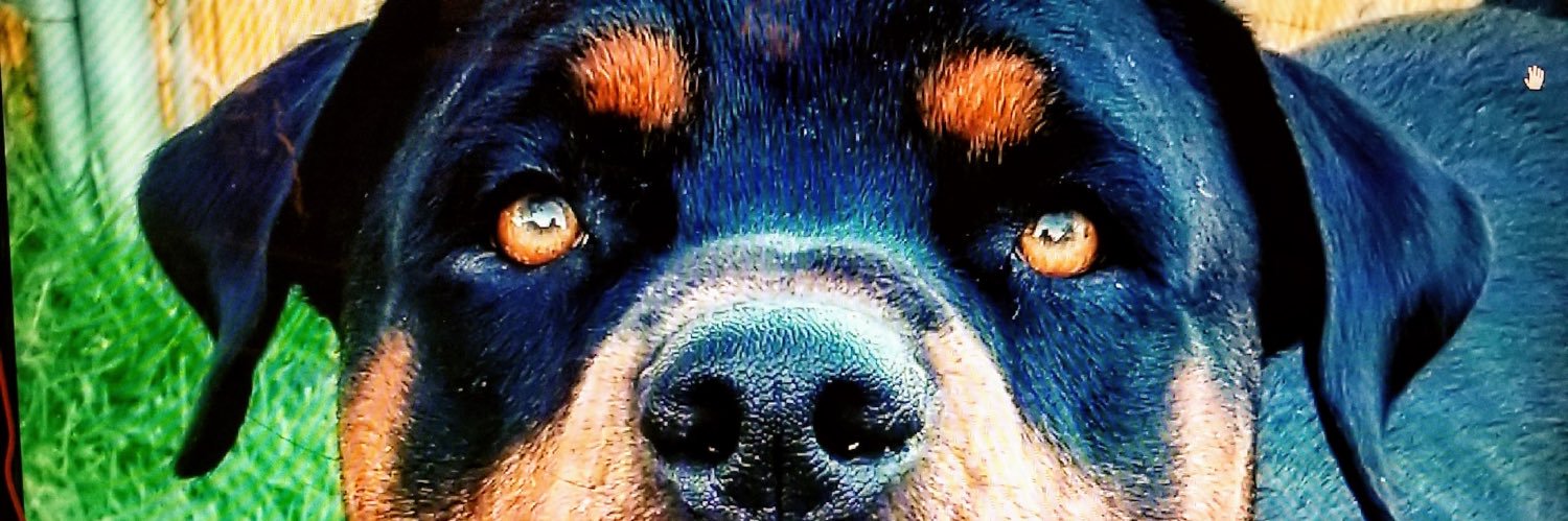 jrod808state's profile banner image