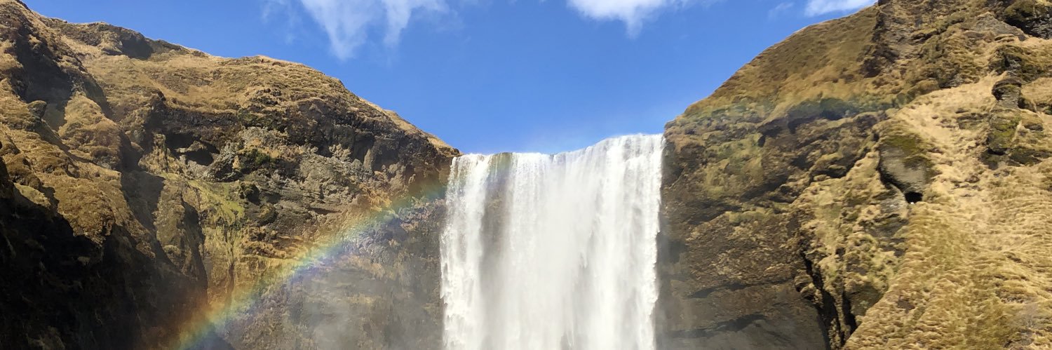 Daniel Weppeler #AVDPunks banner