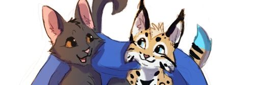 AndytheBlackCat's profile banner image