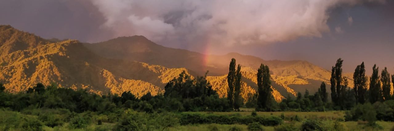 isaduque's profile banner image