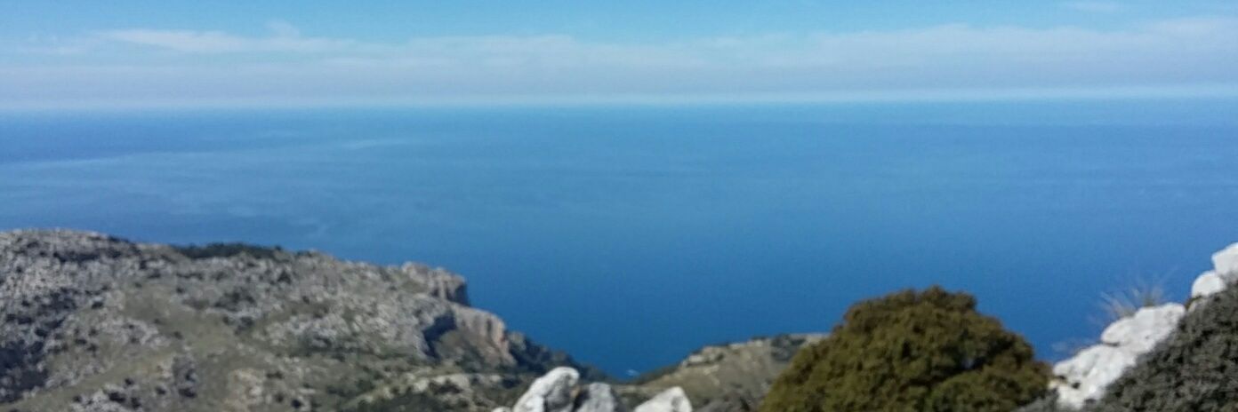 AnaVanrell's profile banner image