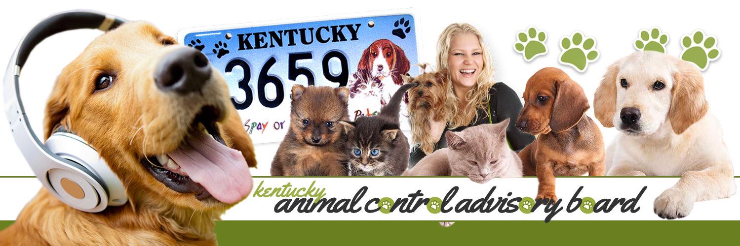 KY_ACAB's profile banner image