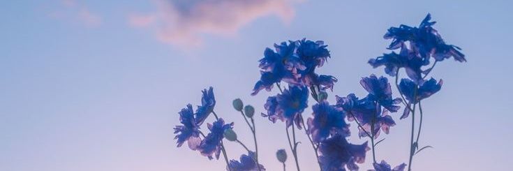 rainy_xdays's profile banner image