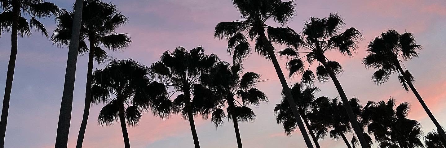 Alyssamonacoo's profile banner image