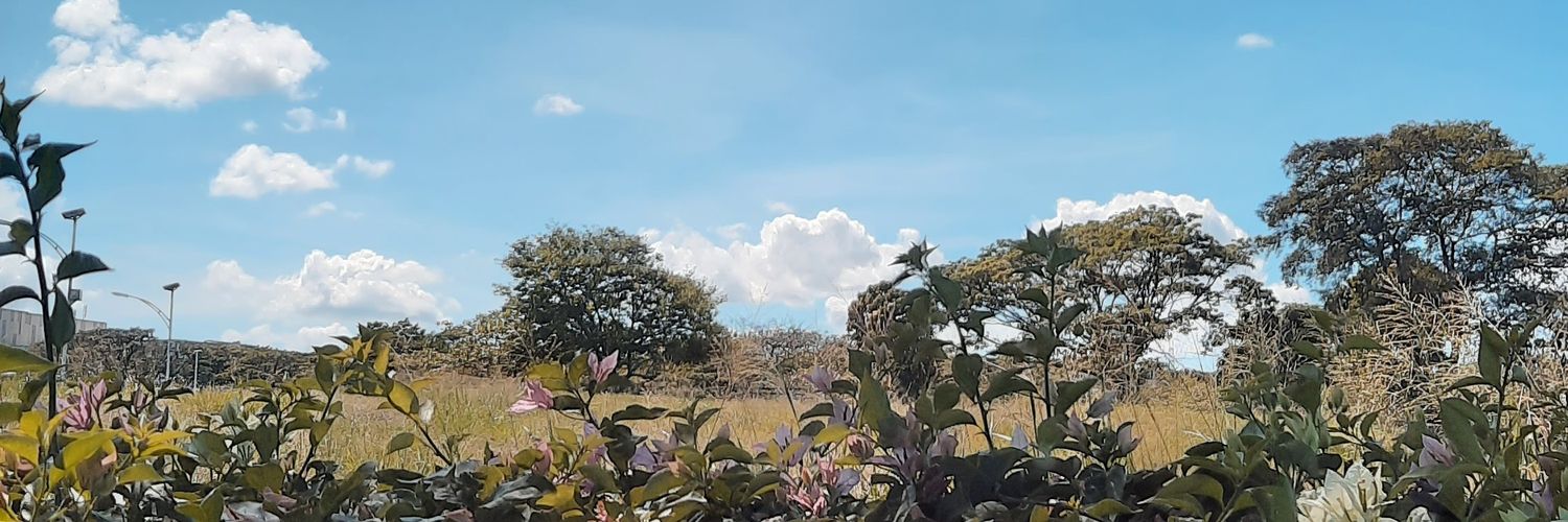 shekeeeeys's profile banner image