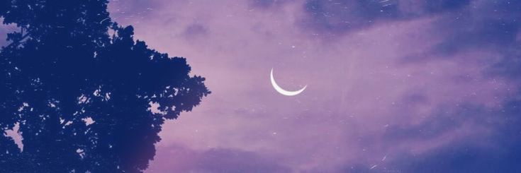 Zhilkan banner