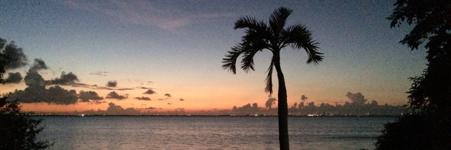 S_EightySeven87's profile banner image