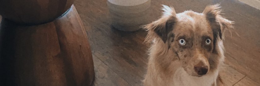 Hopeykinns's profile banner image