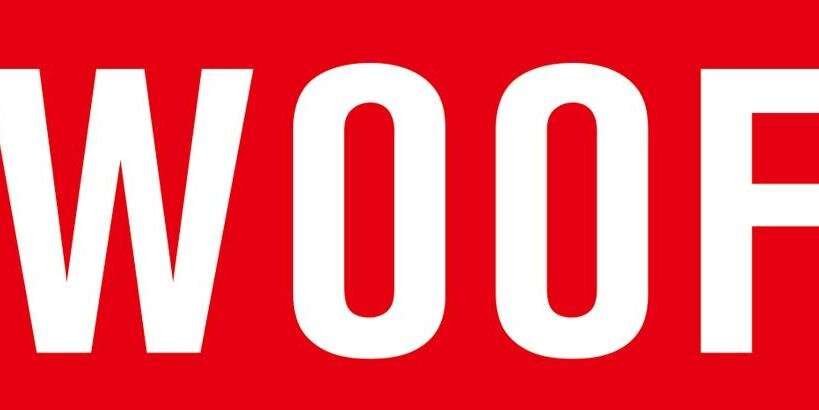 WOOFIN_mag's profile banner image