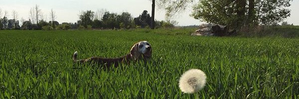 DerekAdkins_ Profile Banner