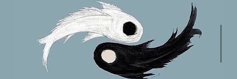 morphinmonty's profile banner image