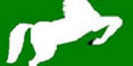 alshamyE's profile banner image