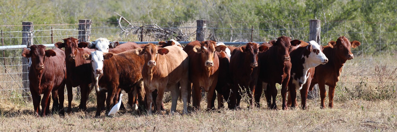 King Ranch Institute banner