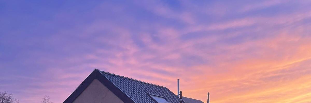 ingridferente's profile banner image
