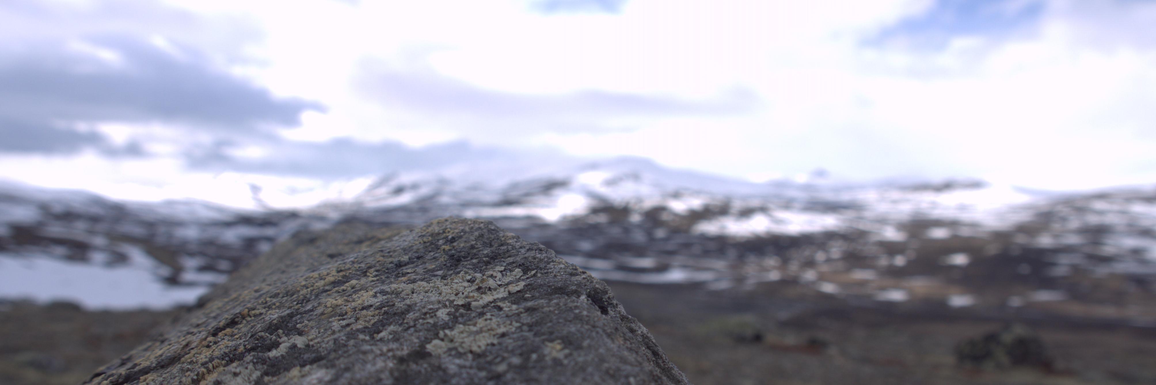 Thomas Van Laere banner