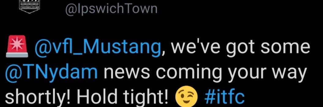 I AM MUSTANG! banner