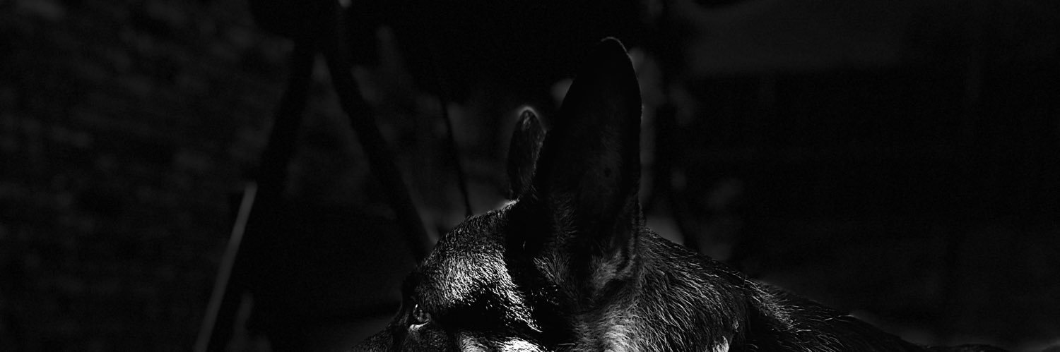 MariajuanaGLO's profile banner image