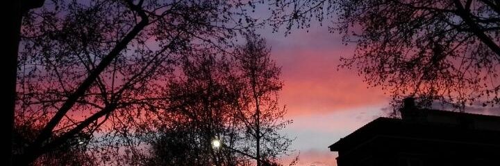 esterpages7's profile banner image