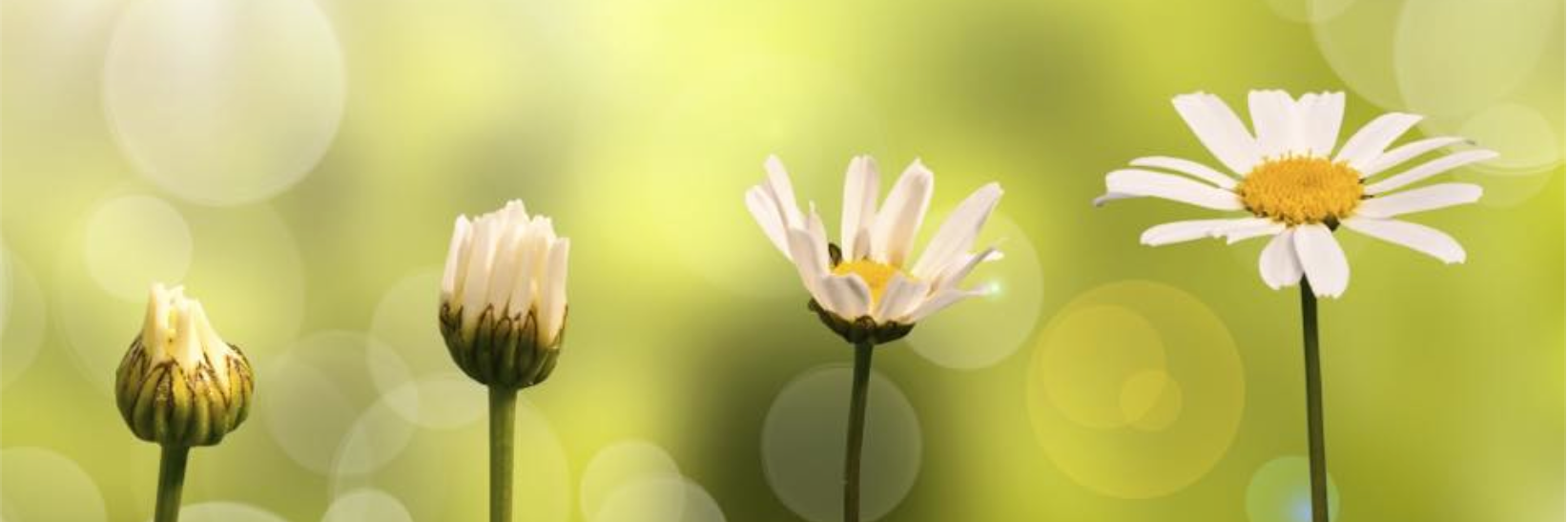 KidsFirstJeffCo's profile banner image