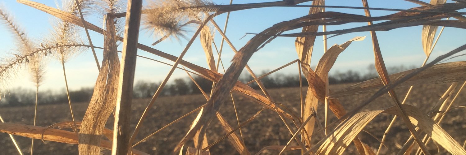_austinhawks's profile banner image