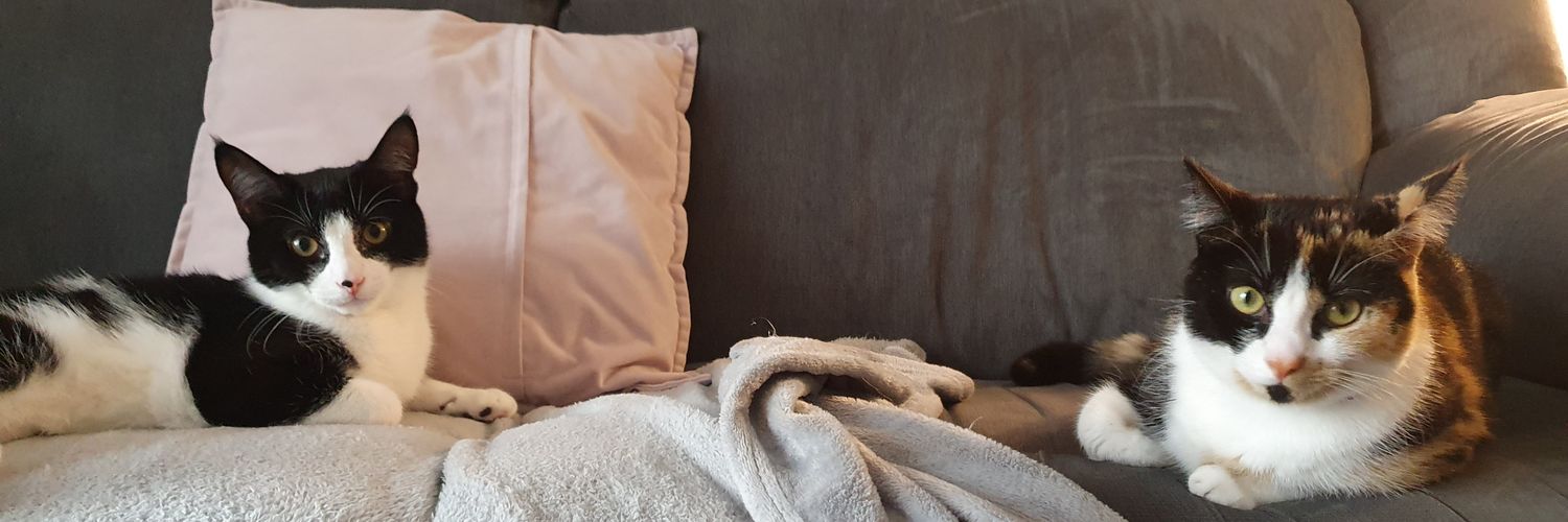 Laurawatt12's profile banner image