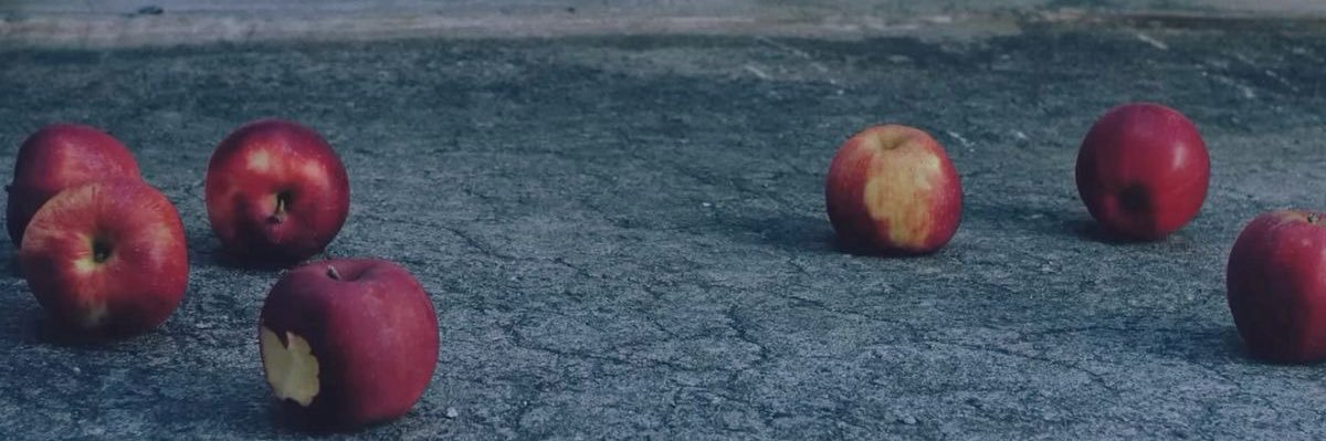 rosesrosie___'s profile banner image