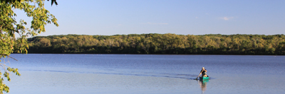 Tim Schneider banner